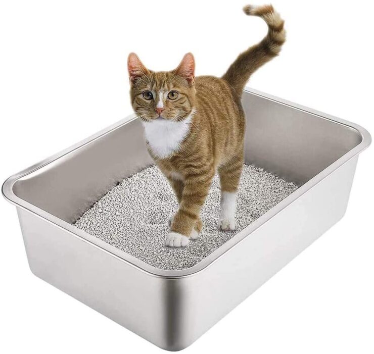 are-stainless-steel-litter-boxes-better-for-cats-nhlink